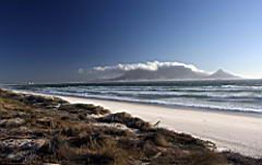 table view IMG_1136a screensize.jpg